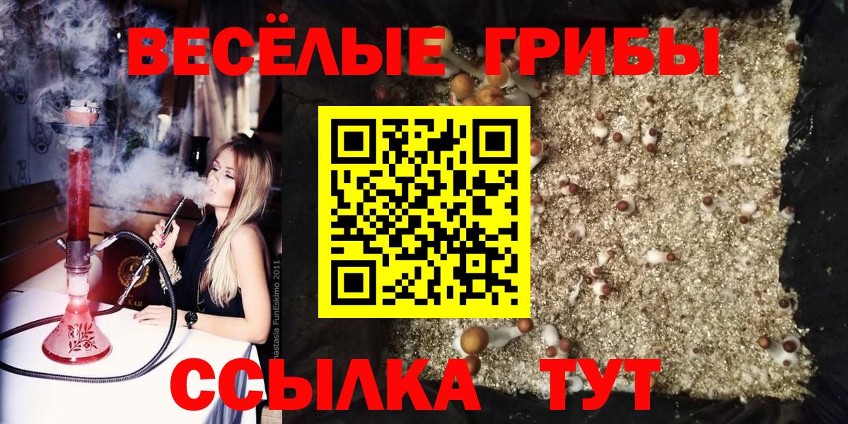 Галлюциногенные грибы Cubensis  Вход с VPN  Пугачёв 